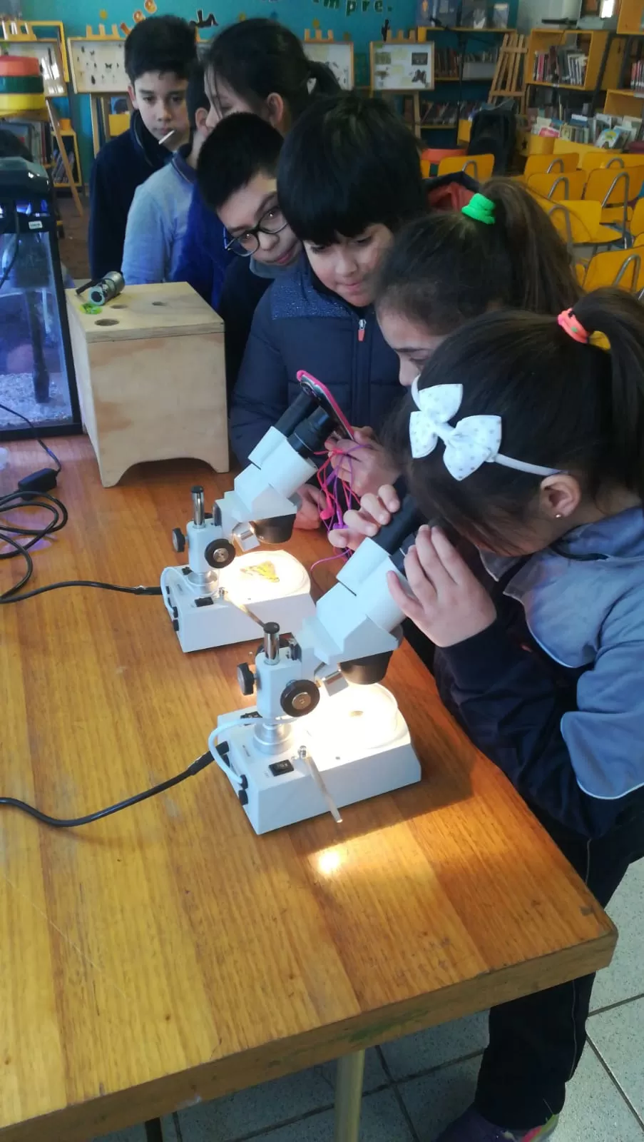 Fundación CEN